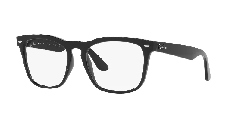 Ray-Ban Steve RB4487V