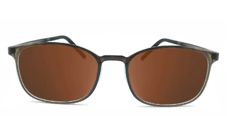 Polarized-Brown