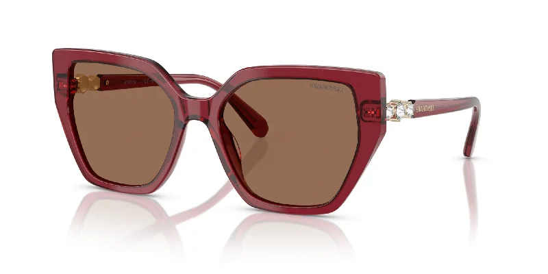 Transparent Burgundy/Dark Brown